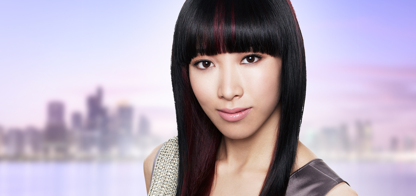 Clariol Professional CHOCOLATE SILK Technique